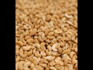 কাজু বাদাম (Cashew Nut)